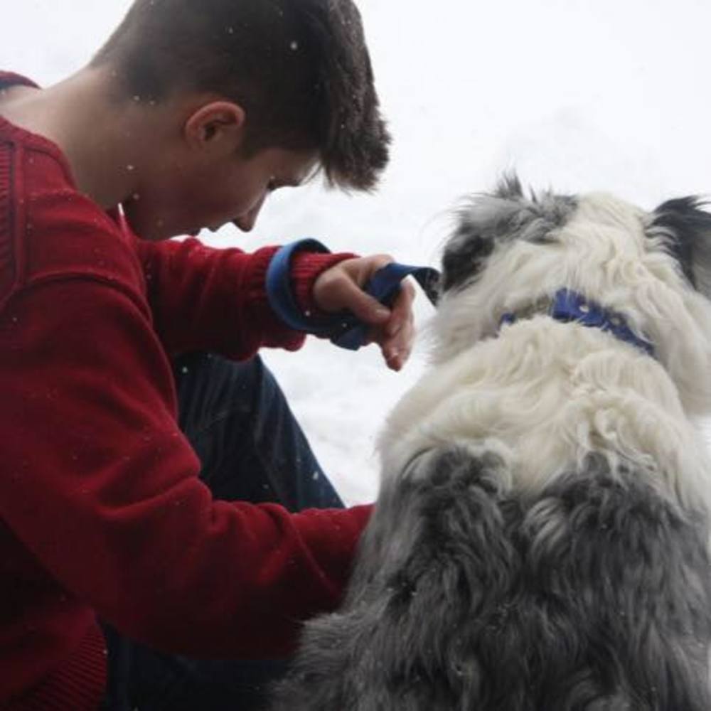 Meet your Posher, Griffin